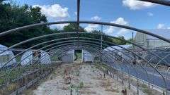 Absolute Online Only Quailcrest Farm Greenhouse Auction