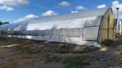 Absolute Online Only Quailcrest Farm Greenhouse Auction