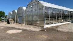 Absolute Online Only Quailcrest Farm Greenhouse Auction