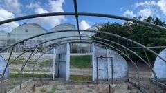 Absolute Online Only Quailcrest Farm Greenhouse Auction