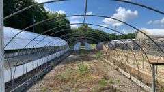 Absolute Online Only Quailcrest Farm Greenhouse Auction