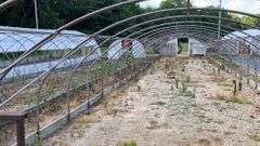 Absolute Online Only Quailcrest Farm Greenhouse Auction