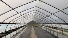Absolute Online Only Quailcrest Farm Greenhouse Auction
