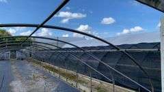 Absolute Online Only Quailcrest Farm Greenhouse Auction