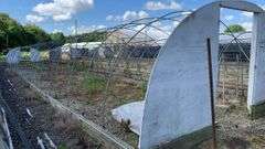 Absolute Online Only Quailcrest Farm Greenhouse Auction