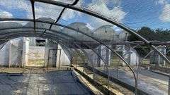 Absolute Online Only Quailcrest Farm Greenhouse Auction