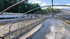 Absolute Online Only Quailcrest Farm Greenhouse Auction