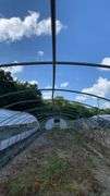 Absolute Online Only Quailcrest Farm Greenhouse Auction