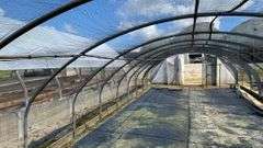 Absolute Online Only Quailcrest Farm Greenhouse Auction