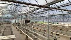 Absolute Online Only Quailcrest Farm Greenhouse Auction