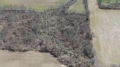 Morrow County Absolute 50-Acre Farm Auction