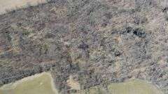 Morrow County Absolute 50-Acre Farm Auction