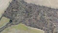 Morrow County Absolute 50-Acre Farm Auction