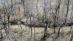 Morrow County Absolute 50-Acre Farm Auction