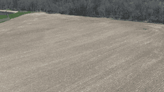 Shelby Absolute 24 Acre Land Auction