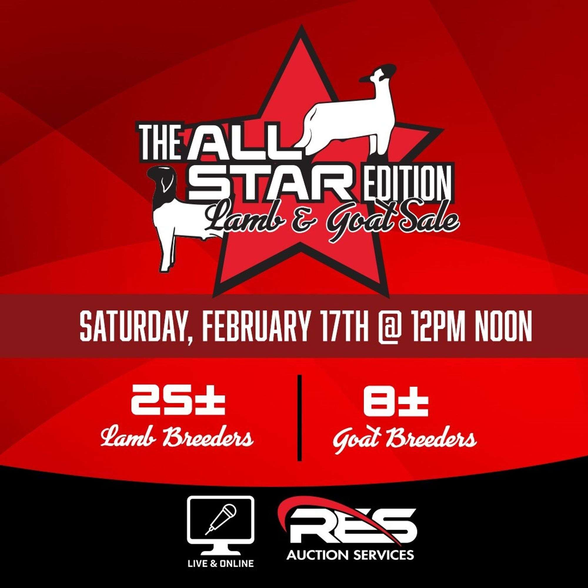 allstar sale