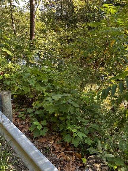 Wally Road Online Only Real Estate