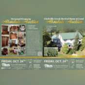 Thumbnail image of Brochure