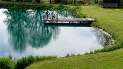 50-Acre Northern Ashland County Gentleman’s Farm Absolute Auction