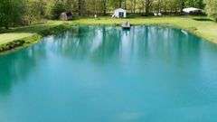 50-Acre Northern Ashland County Gentleman’s Farm Absolute Auction