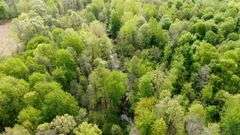 50-Acre Northern Ashland County Gentleman’s Farm Absolute Auction