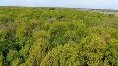 50-Acre Northern Ashland County Gentleman’s Farm Absolute Auction