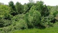 Ashland County 13-Acre Building Lot and Pond