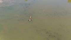 Ashland County 13-Acre Building Lot and Pond