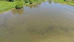 Ashland County 13-Acre Building Lot and Pond