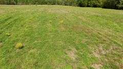 50-Acre Northern Ashland County Gentleman’s Farm Absolute Auction