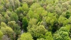 50-Acre Northern Ashland County Gentleman’s Farm Absolute Auction