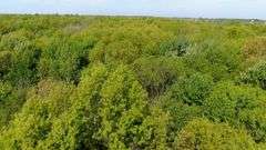 50-Acre Northern Ashland County Gentleman’s Farm Absolute Auction