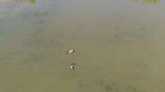 Ashland County 13-Acre Building Lot and Pond