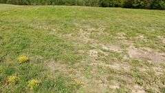 50-Acre Northern Ashland County Gentleman’s Farm Absolute Auction