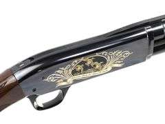 Browning  BPS - 14 of 50 "American Bucks For American Ducks"  20 Ga  Pump Action Shotgun