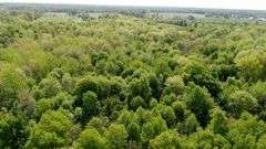 50-Acre Northern Ashland County Gentleman’s Farm Absolute Auction