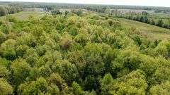50-Acre Northern Ashland County Gentleman’s Farm Absolute Auction