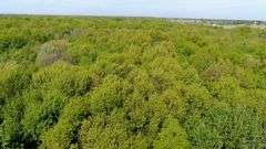 50-Acre Northern Ashland County Gentleman’s Farm Absolute Auction