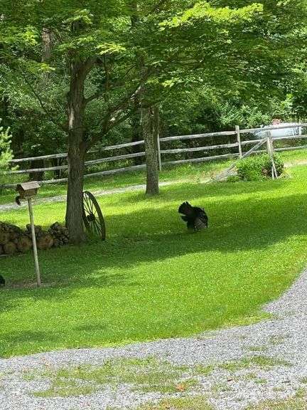 Stark County Sportsman's Dream Real Estate Auction