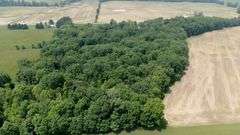 Absolute Richland County 223-Acre Farm Auction