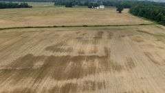 Absolute Richland County 223-Acre Farm Auction