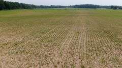 Absolute Richland County 223-Acre Farm Auction