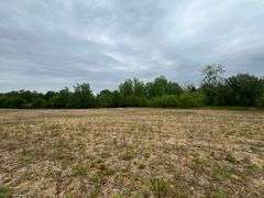 Richland County 54-Acre Absolute Land Auction