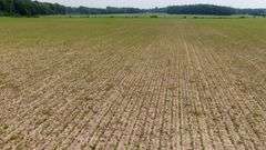 Absolute Richland County 223-Acre Farm Auction
