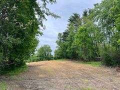 Richland County 54-Acre Absolute Land Auction