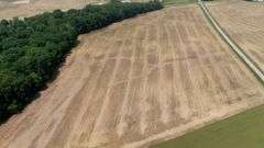 Absolute Richland County 223-Acre Farm Auction