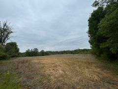 Richland County 54-Acre Absolute Land Auction