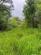Richland County 54-Acre Absolute Land Auction