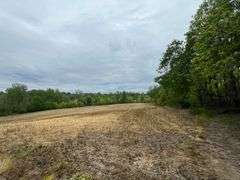 Richland County 54-Acre Absolute Land Auction