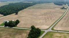 Absolute Richland County 223-Acre Farm Auction